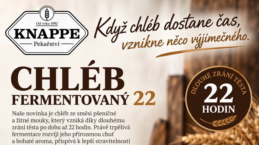 Chléb fermentovaný 22
